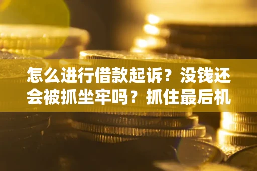 济南怎么进行借款起诉？没钱还会被抓坐牢吗？抓住最后机会！