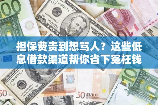 济南担保费贵到想骂人？这些低息借款渠道帮你省下冤枉钱