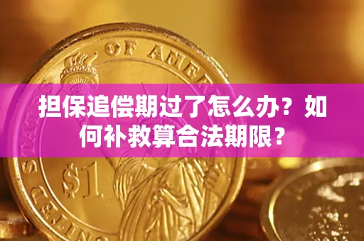 济南担保追偿期过了怎么办？如何补救算合法期限？