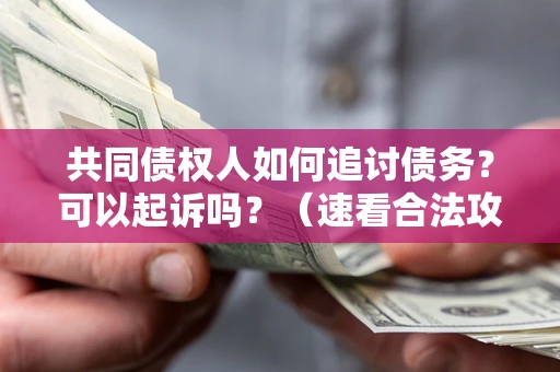 济南共同债权人如何追讨债务？可以起诉吗？（速看合法攻略）
