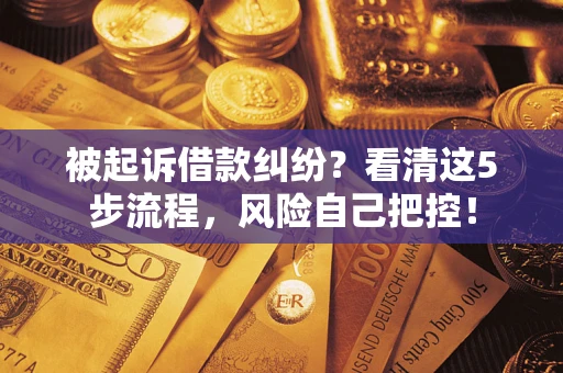 济南被起诉借款纠纷？看清这5步流程，风险自己把控！